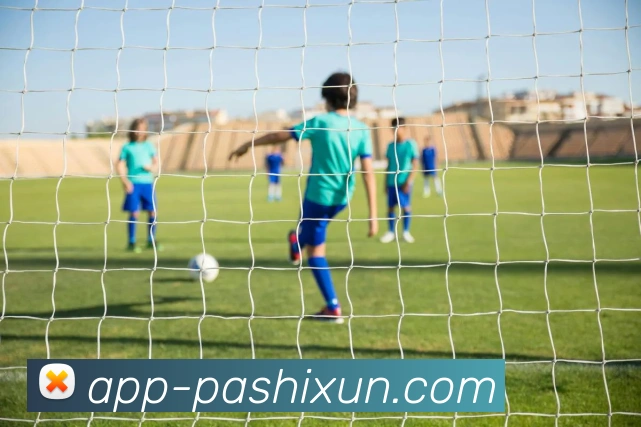 App Interface Preview