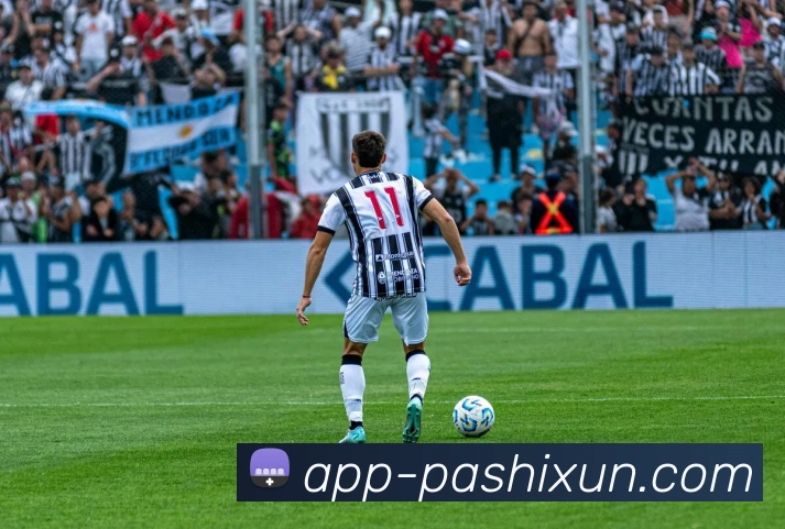 pa视讯APP 封面图